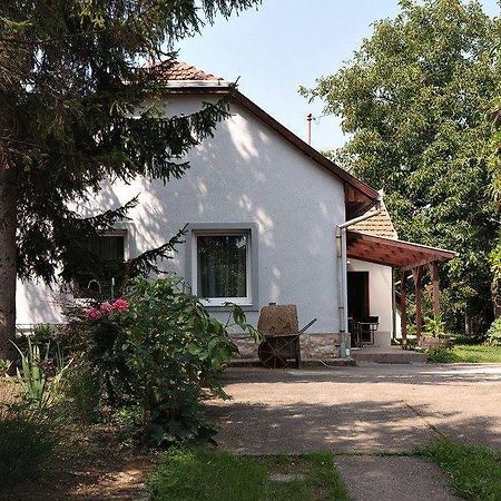 Апартаменты Borostyan 20 Vendeghaz Шарошпатак Экстерьер фото