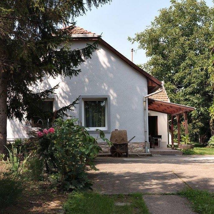 Апартаменты Borostyan 20 Vendeghaz Шарошпатак Экстерьер фото
